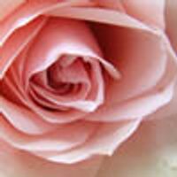 Pflanzenmarkt (@pflanzenmarkt) Twitter profile photo