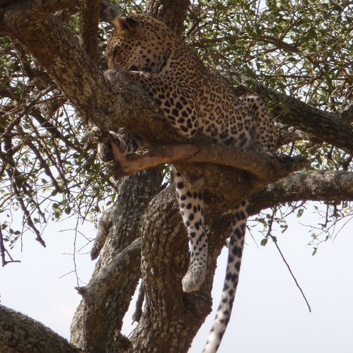 takidony1r's profile picture. 