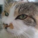 Greg Higgins - @gregusgreg - Twitter