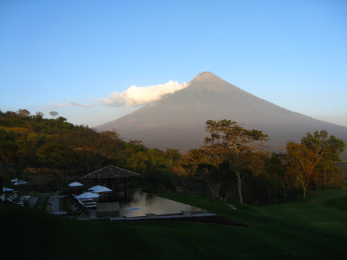 fulvitalinda's profile picture. 