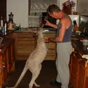 dean duane atkinson - @C95811lg - Twitter