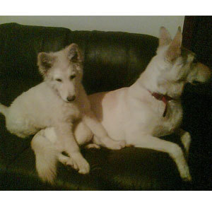 equinedirect's profile picture. 