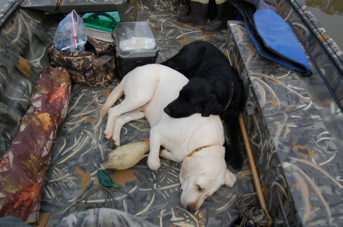 sjrduke's profile picture. 