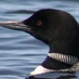 TodayinMinocqua (@todayinminocqua) Twitter profile photo