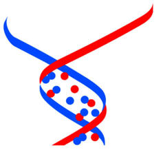 imgenexcorp's profile picture. We are a leading manufacturer of antibodies and reagents for signaling pathways of TLRs,Innate & Adaptive Immunology,Inflammation,Cancer,Apoptosis & Stem Cells