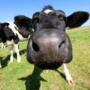 Richard Baggett - @rabaggett - Twitter