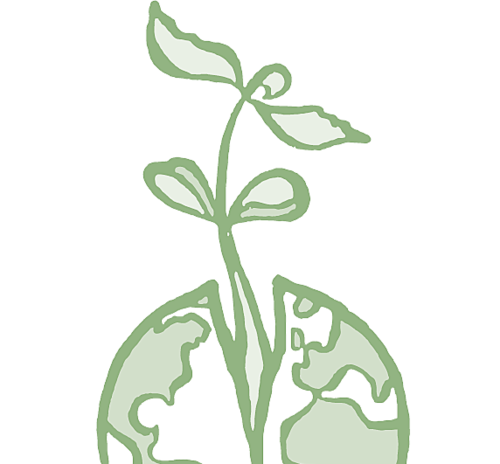 mesaprogram's profile picture. 