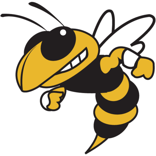 Gives real-time updates of Georgia Tech football games.