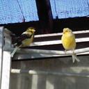 Mary Struchen - @tsgmom - Twitter