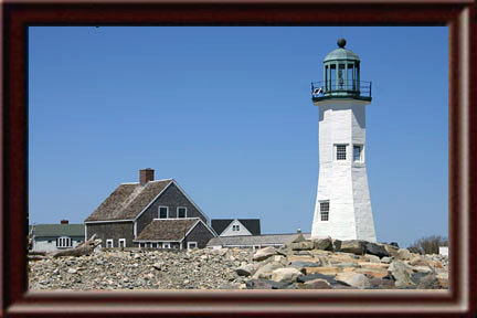 schilcott's profile picture. 