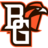 BGSUFalcons's profile image