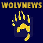 WOLVTVNews's profile picture. Ann Arbor's only local evening newscast. Wednesdays at 8pm on @umich's student-run television station, @WOLVTV.