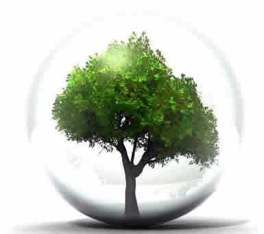 GoGreenPrinting's profile picture. 