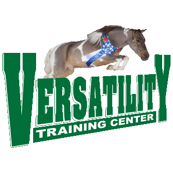 VersatilityMini's profile picture. Breeding AMHA and AMHR show quality miniature horses, and offering training and lessons in all disciplines of showing.
