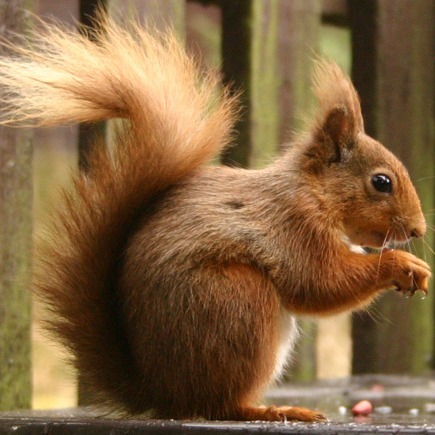 andyalbertson's profile picture. 