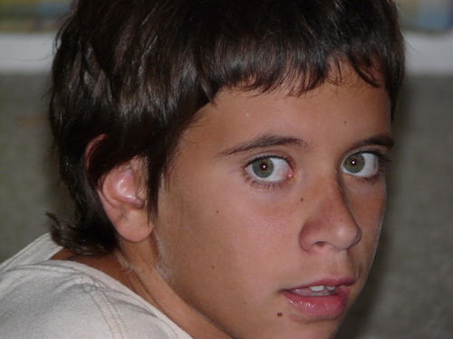 oyster4autism's profile picture. raising money to benefit those who live with autism