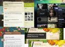 Guy that interest with wordpress theme design