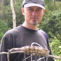 Tomás Pariente (@tpariente) 's Twitter Profile
