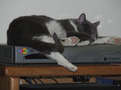 wbjamison's profile picture. 