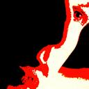 David Timms - @Onlineworldnews - Twitter