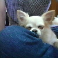 サービスカード高柳 (@sctakayanagi) 's Twitter Profile