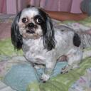 Carol Landrum - @carol_landrum - Twitter