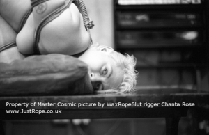 FetishAndrex's profile picture. Twisted Fetish Deviant with lots of rope........