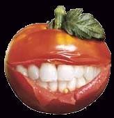 ketchup_md's profile picture. if you think there's a problem it's probably you