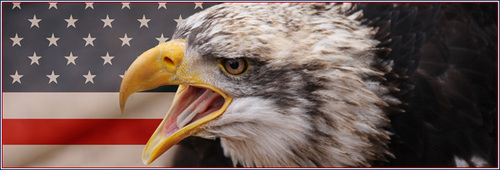 AmericanGunShow's profile picture. The most conservative college radio show to ever rail against the relentless march of fascist communism.