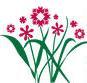 Bloomington is participating in the America In Bloom contest in 2010!