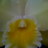 TopMotivators's profile image
