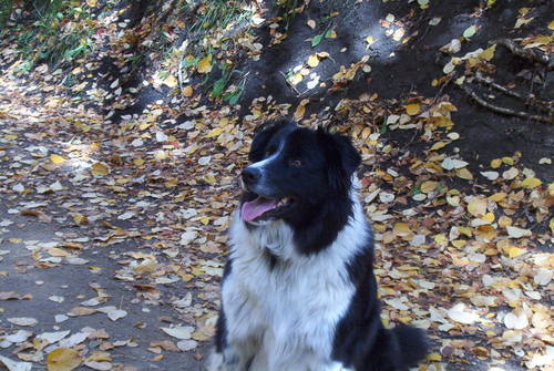 Nadonna's profile picture. 