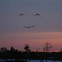 Amanda Mayfield - @abmayfield - Twitter