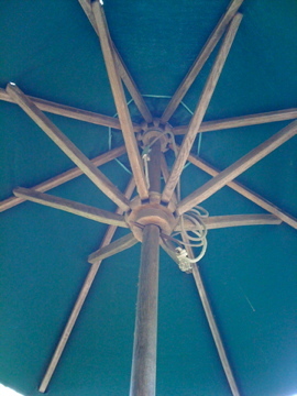 tabbyblack's profile picture. 