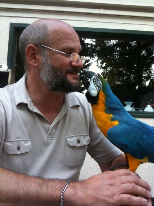 dsienko's profile picture. Tulalip Lushootseed the language of Puget Sound