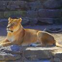 Patrice Conner - @momwith3boys69 - Twitter