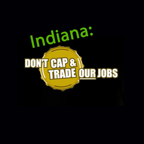 NoCapTradeIN's profile picture. 