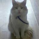 sally duncan - @sallyduncan1 - Twitter