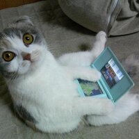 Mike Dudas (@mgd81) 's Twitter Profile