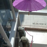 FrugalNYC (@frugalnyc) 's Twitter Profile