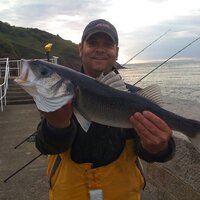 Andrew Letto (@andrew1099) 's Twitter Profile