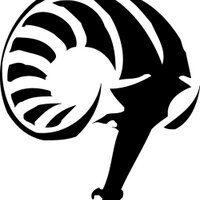 SRHS Marching Band (@srhsmb) 's Twitter Profile