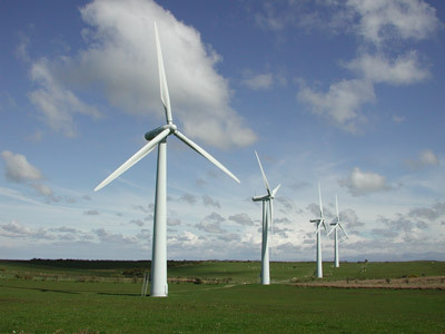 Web Design, SEO, and Green Hosting we do it all! Powered by Wind Power