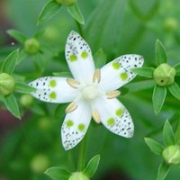 楽蜻庵さんのプロフィール画像