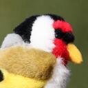 Martin Deane - @huxby - Twitter