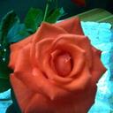 Barbara Burg - @Stuttibu - Twitter