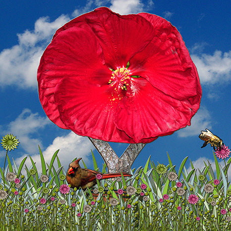 GlitterGirlz's profile picture. 