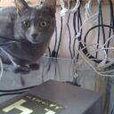 Bill Keith - @KILLandBEEF - Twitter