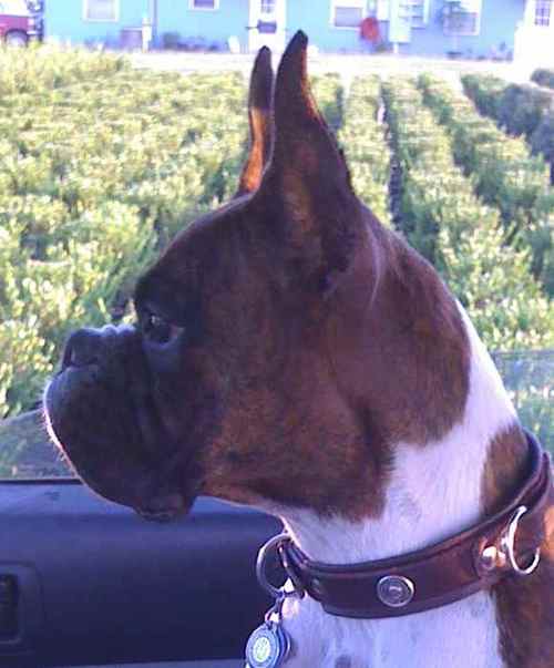 spokewrench180's profile picture. 