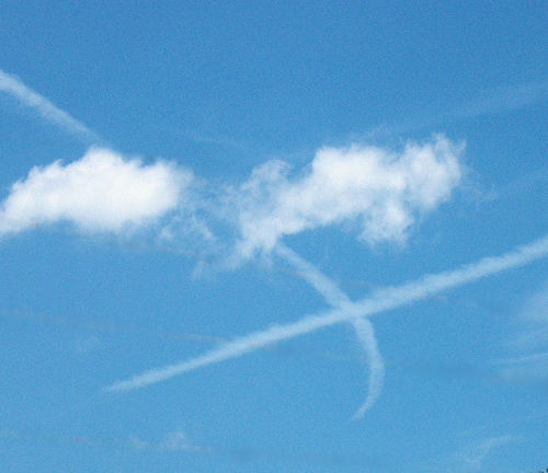 Intuitively_Xd's profile picture. 40-something working mom